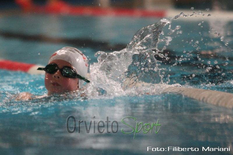 Ad Orvieto momenti di nuoto e sorrisi alla 2° manifestazione provinciale di nuoto propaganda